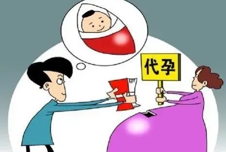 代孕.jpg